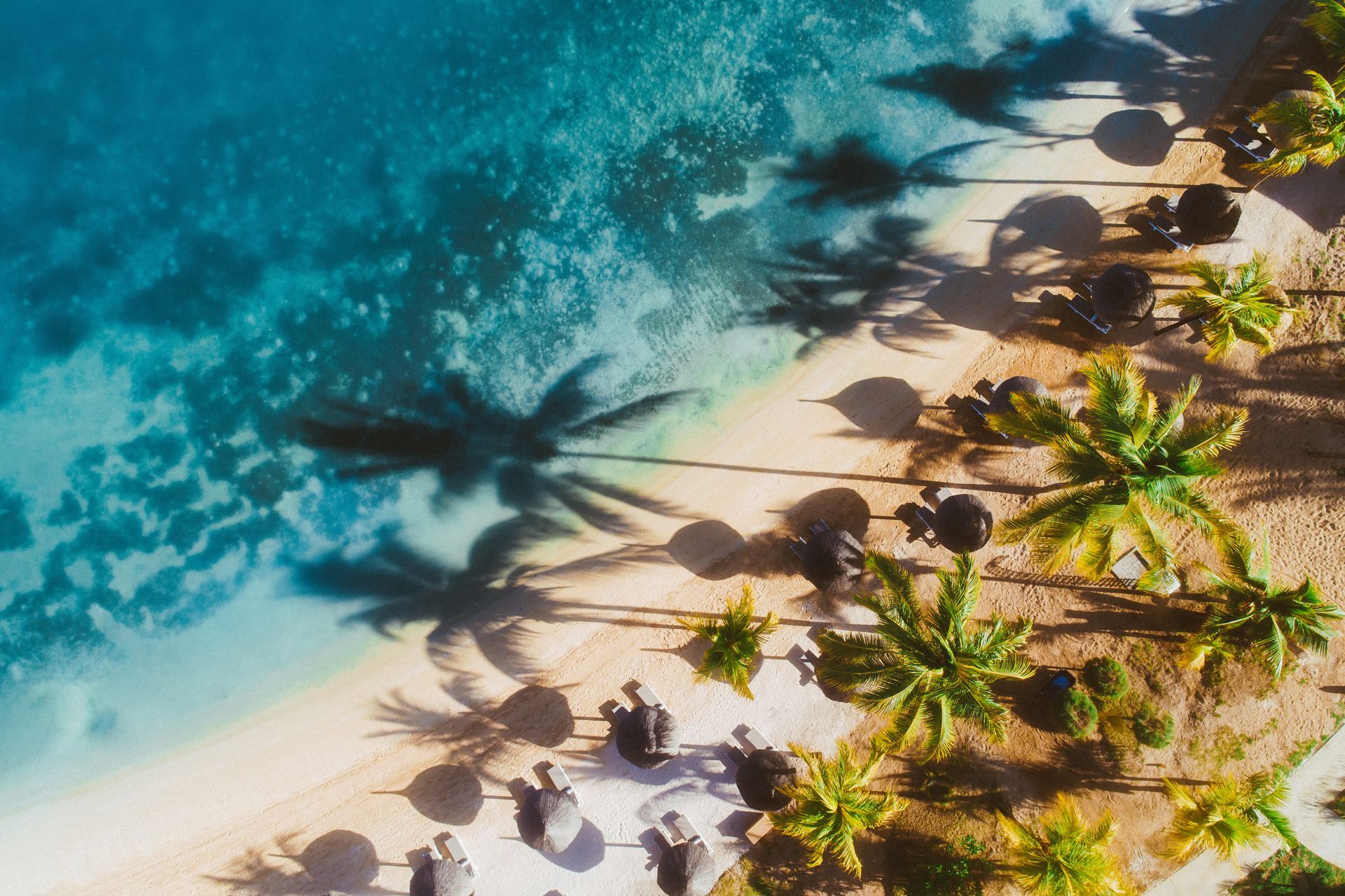 92326755-H1-LGG_BEACH_3-TUI.jpg