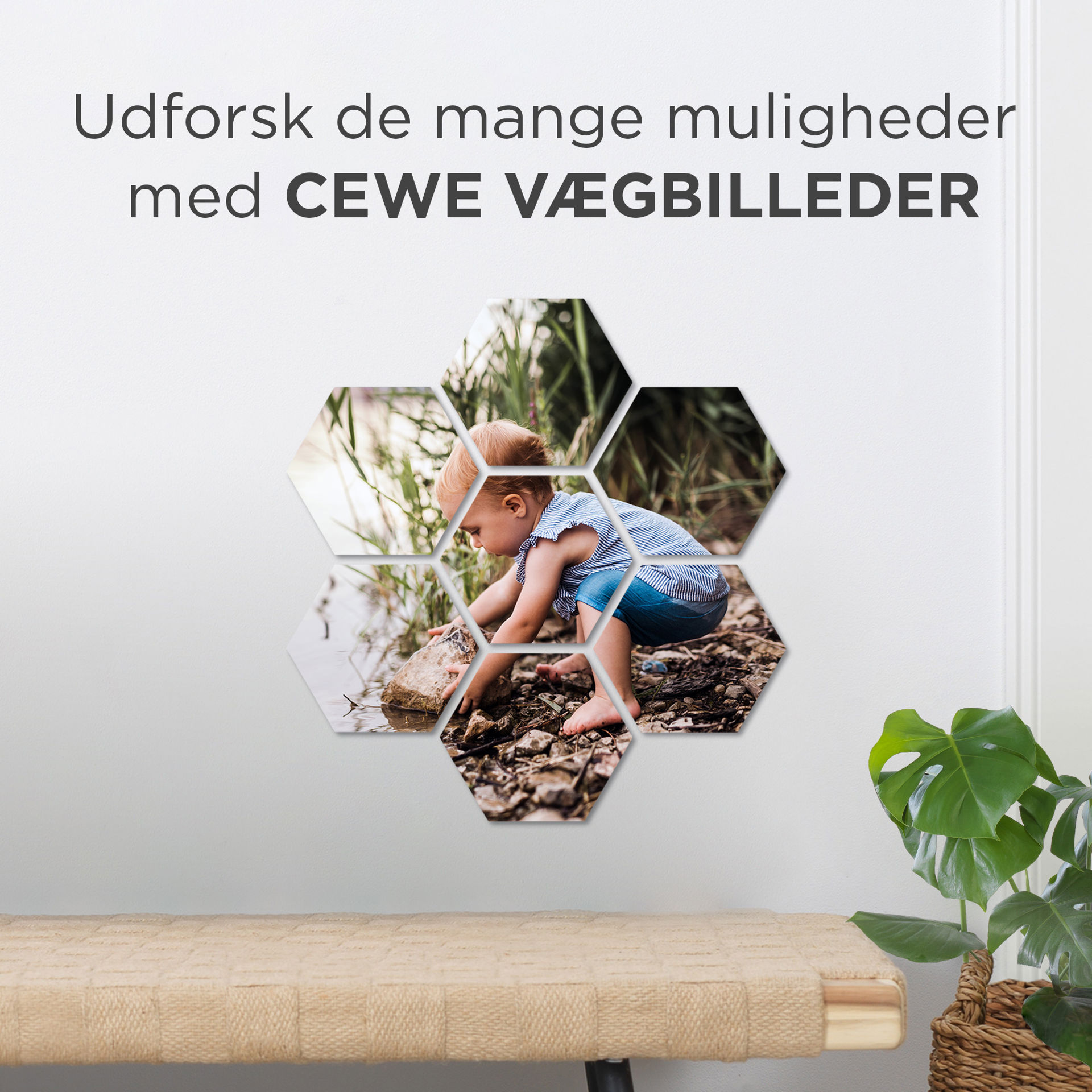 2000x2000-cewe-fotocollage-hexxas-aug-sept.jpg