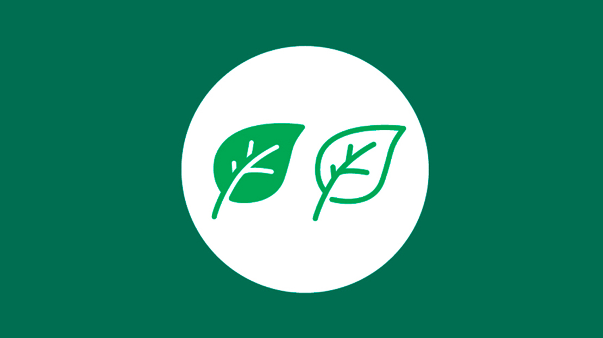 groen_el_1110x624.jpg